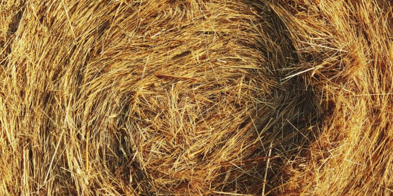 The Haystack Observatory