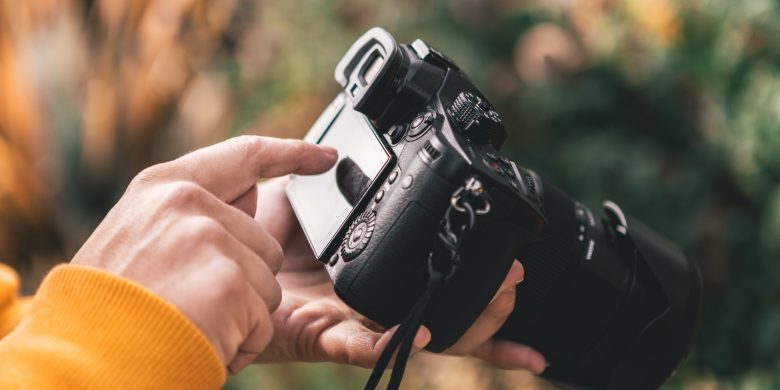 intern wild interest and skills in photography